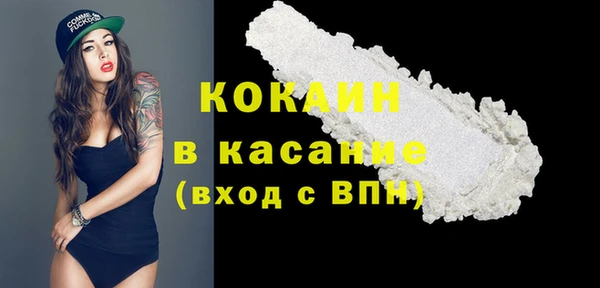 сатива Абинск