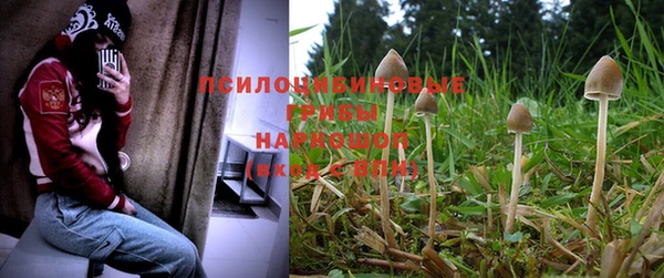 прущий лед Нея