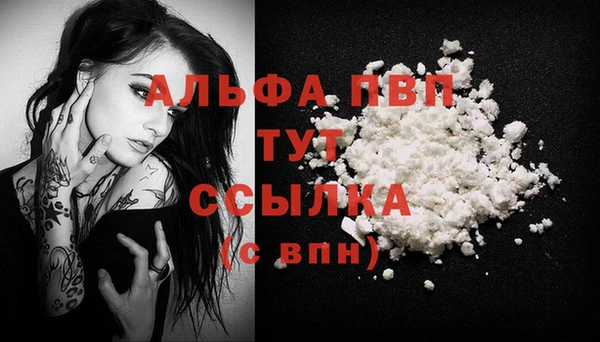 сатива Абинск