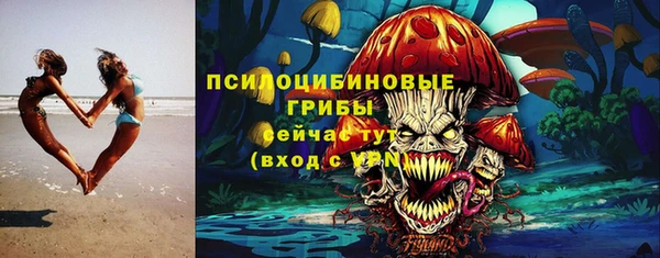 сатива Абинск